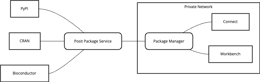 Package Manager with internet connectivity